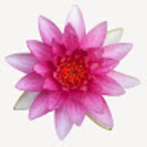 Meet your Posher, Regina